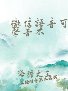 微信语音可以变声音不