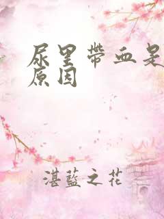 尿里带血是什么原因