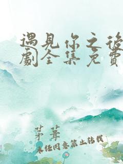 遇见你之后电视剧全集免费观看