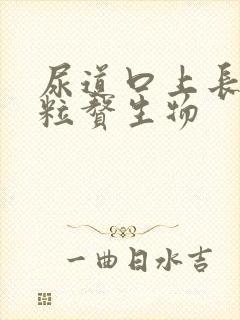 尿道口上长小米粒赘生物