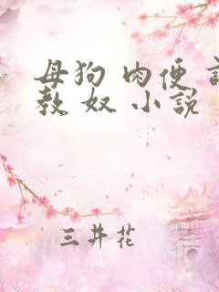母狗 肉便 调教 奴 小说