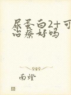 尿蛋白2+可以治疗好吗