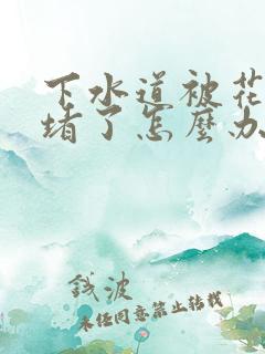 下水道被花生壳堵了怎么办