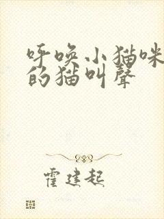 呼唤小猫咪吃饭的猫叫声