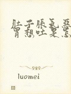 肚子胀气恶心反胃想吐是怎么回事