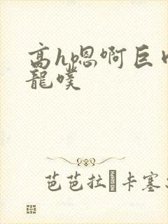 高h嗯啊巨肉双龙噗