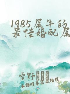 1985属牛的最佳婚配属相