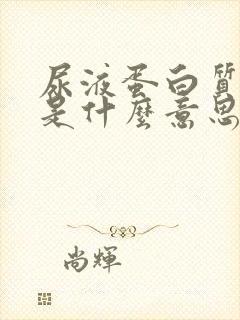 尿液蛋白质3+是什么意思