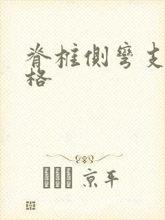 脊椎侧弯支具价格