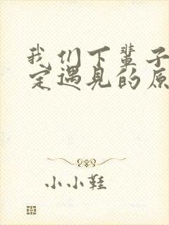 我们下辈子不一定遇见的原唱歌词