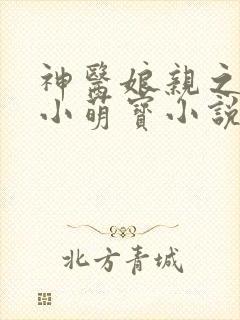神医娘亲之腹黑小萌宝小说