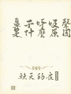 鼻子呼吸声音大是什么原因