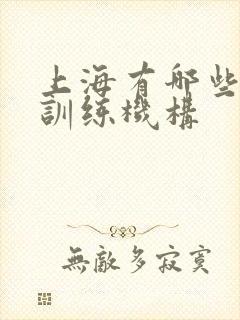 上海有哪些感统训练机构