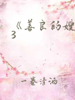 《善良的嫂子》3