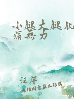 小腿大腿肌肉酸痛无力