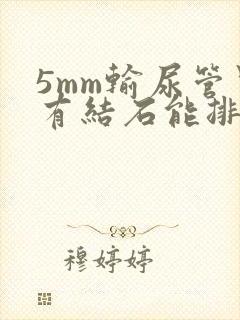 5mm输尿管里有结石能排出吗