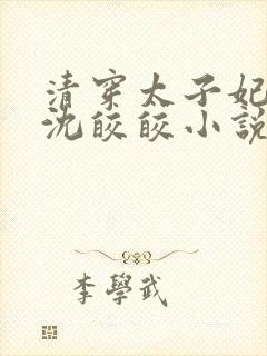 清穿太子妃康熙沈皎皎小说4