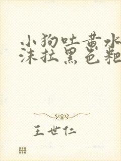 小狗吐黄水带泡沫拉黑色粑粑怎么办