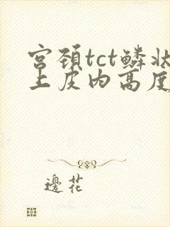 宫颈tct鳞状上皮内高度病变