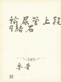 输尿管上段0.9结石