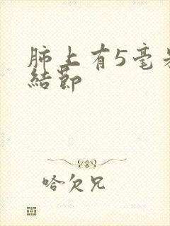 肺上有5毫米小结节