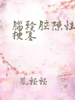 脑干腔隙性脑有梗塞