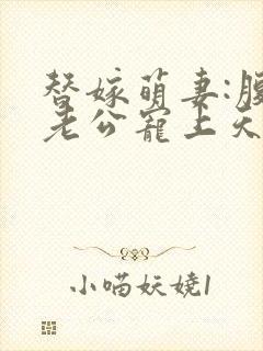 替嫁萌妻:腹黑老公宠上天