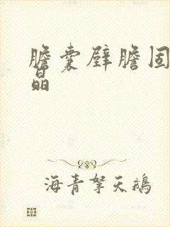 胆囊壁胆固醇结晶