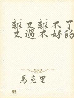 离又离不了,过又过不好的婚姻怎么办