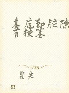 基底节腔隙性脑有梗塞