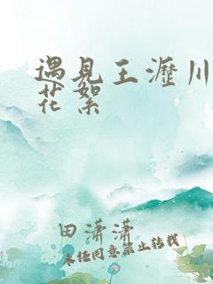 遇见王沥川未播花絮