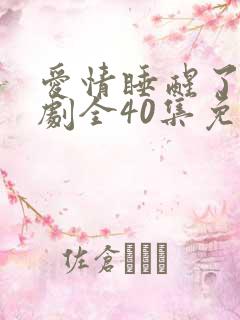 爱情睡醒了电视剧全40集免费观看