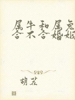 属牛和属兔属相合不合婚姻