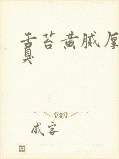 舌苔黄腻厚 口臭