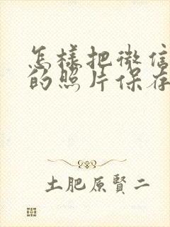 怎样把微信里面的照片保存到相册里