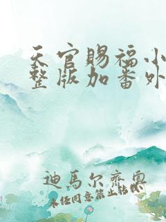 天官赐福小说完整版加番外txt