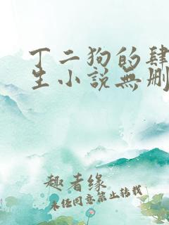 丁二狗的肆意人生小说无删减全文阅读