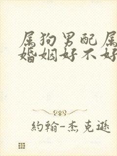 属狗男配属鸡女婚姻好不好呢