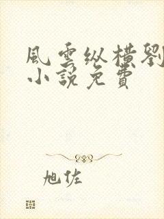 风云纵横刘穆薇小说免费