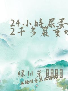 24小时尿蛋白2千多严重吗