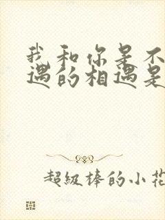 我和你是不该相遇的相遇是什么歌