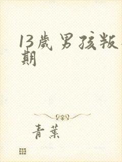 13岁男孩叛逆期