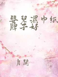 婴儿湿巾纸什么牌子好