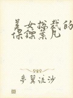 美女总裁的贴身保镖叶凡