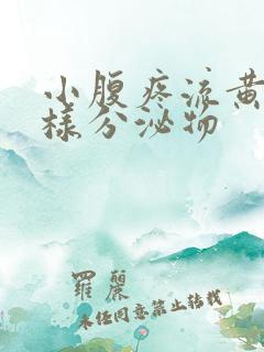 小腹疼流黄色水样分泌物