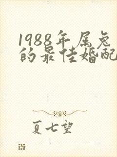 1988年属兔的最佳婚配属相