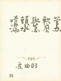 喷头与软管之间漏水怎么办