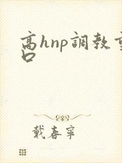 高hnp调教重口