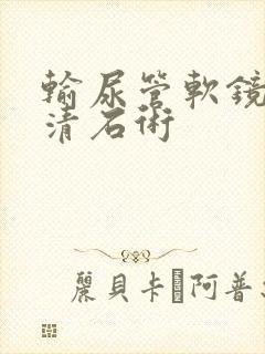 输尿管软镜碎石清石术