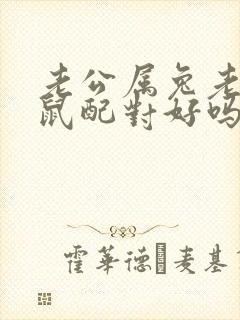 老公属兔老婆属鼠配对好吗